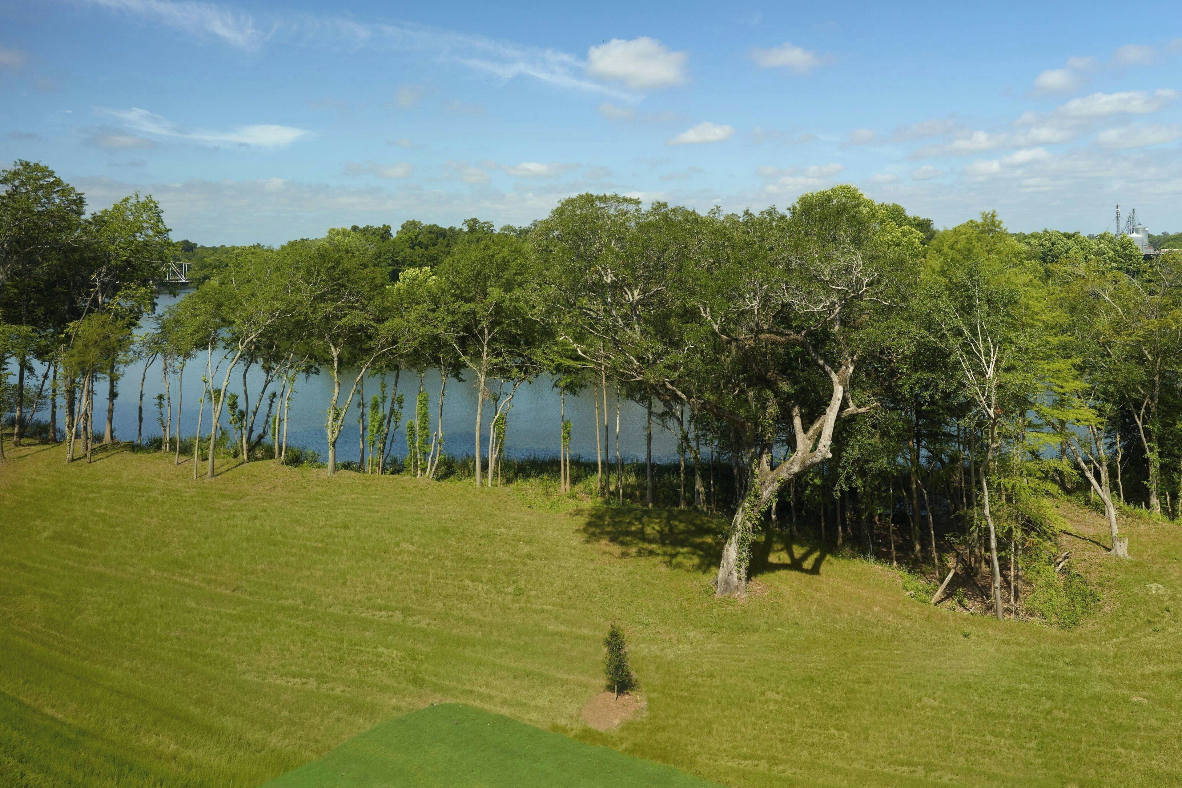 A grassy area with trees and a body of water.