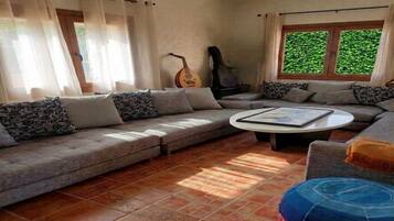 Smart TV, fireplace, DVD player, books