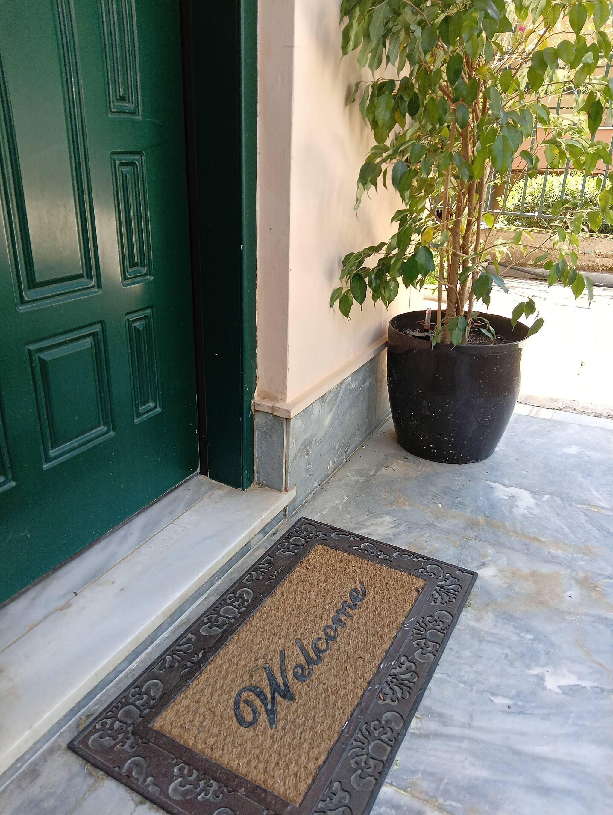 A green door, a potted plant, and a welcome mat on a tiled floor.