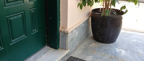 A green door, a potted plant, and a welcome mat on a tiled floor.