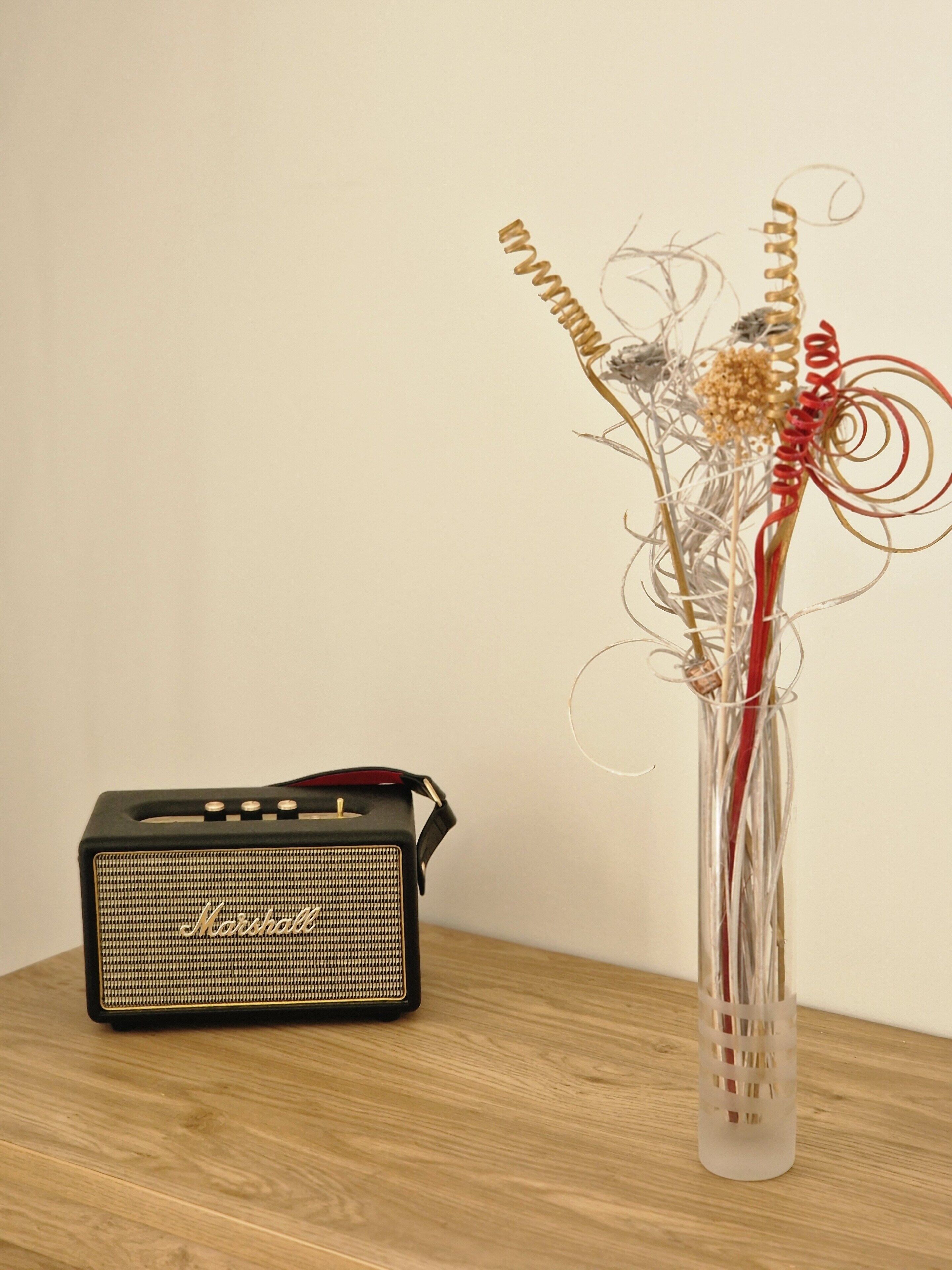 A black Marshall amplifier and a clear vase with a plant on a wooden surface.