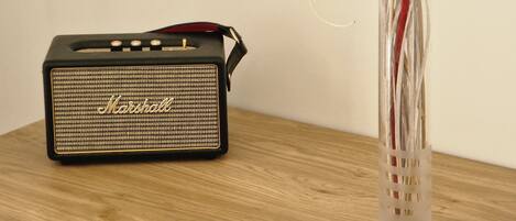 A black Marshall amplifier and a clear vase with a plant on a wooden surface.
