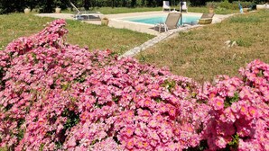 A pool area with lounge chairs and umbrellas, surrounded by lush greenery and pink flowers. - Villa Oliveraie - Olive Grove Experience (Villecroze)