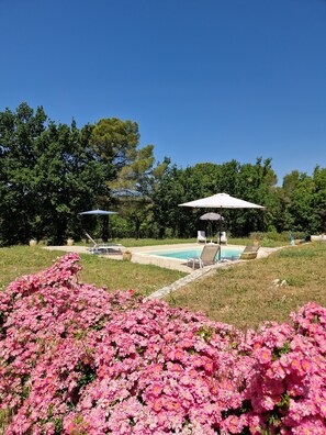 Pool - Villa Oliveraie - Olive Grove Experience (Villecroze)