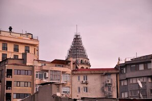Vista desde la propiedad