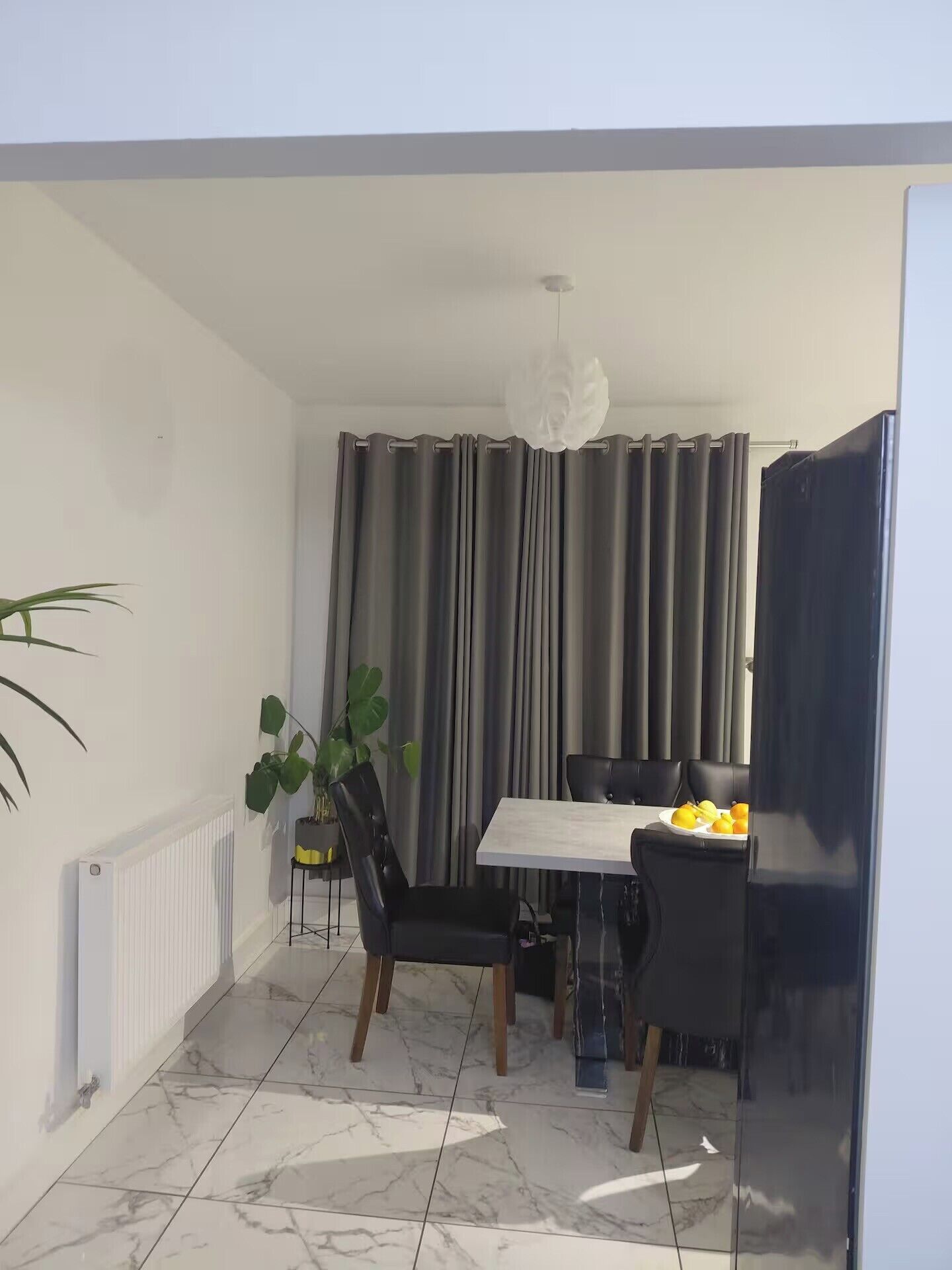 Un comedor con una mesa, sillas, una planta en maceta y un radiador.