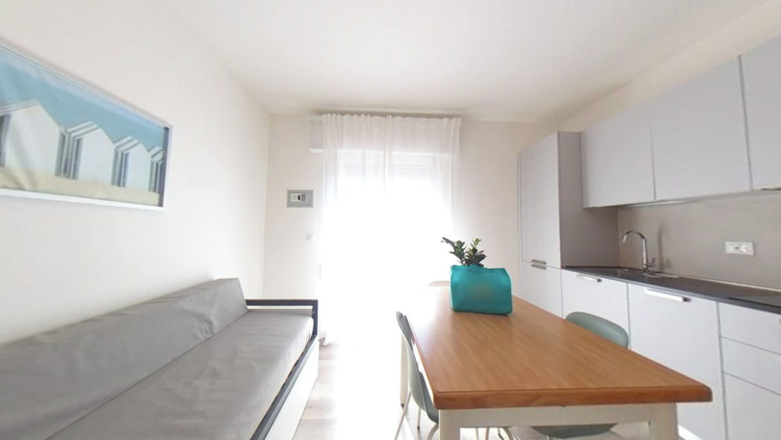 A compact living space with a sofa, a wooden table, a potted plant, and a kitchenette.