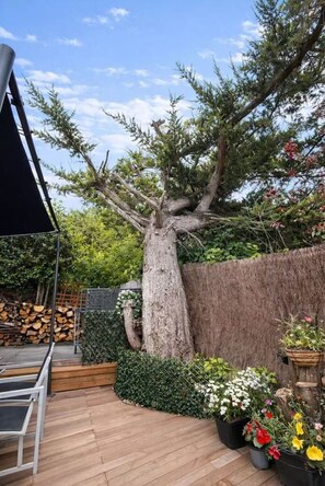 Parco della struttura