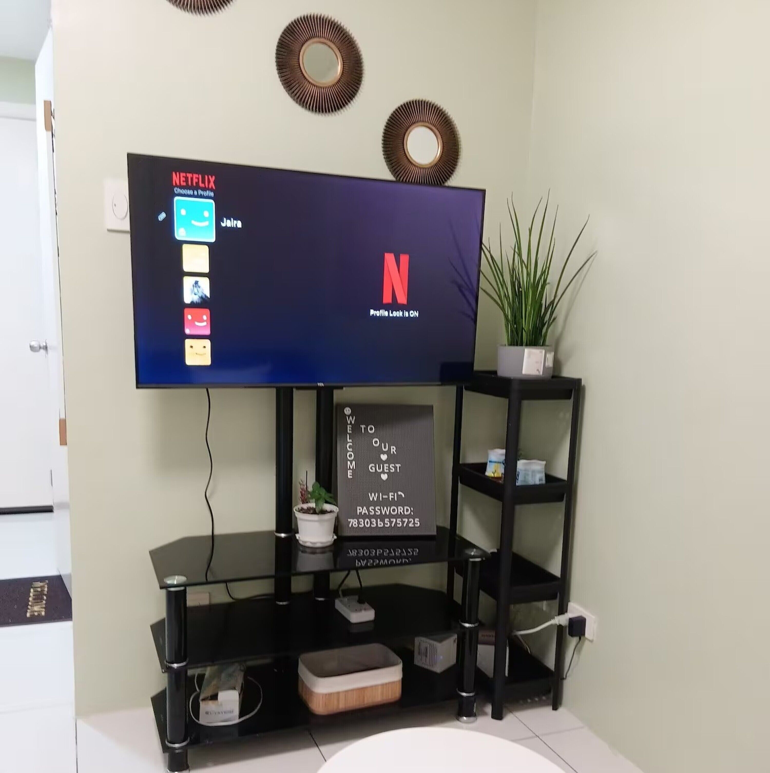 Television
