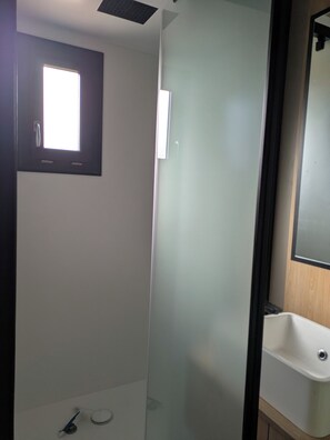 Shower, hair dryer, soap, toilet paper - Cottage in quiet meadow estate (La Chapelle-Hermier)