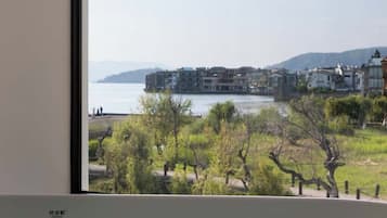 Junior Villa, Partial Lake View | View from room