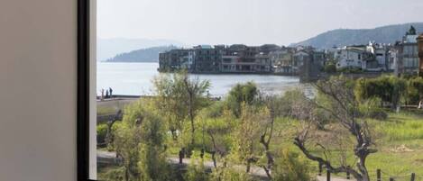 Junior Villa, Partial Lake View | View from room