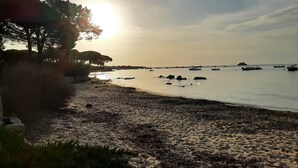 Une plage avec des bateaux, des arbres et un ciel dégagé.