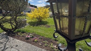 Um poste de metal com design retorcido, um caminho pavimentado e um jardim com arbustos floridos amarelos.