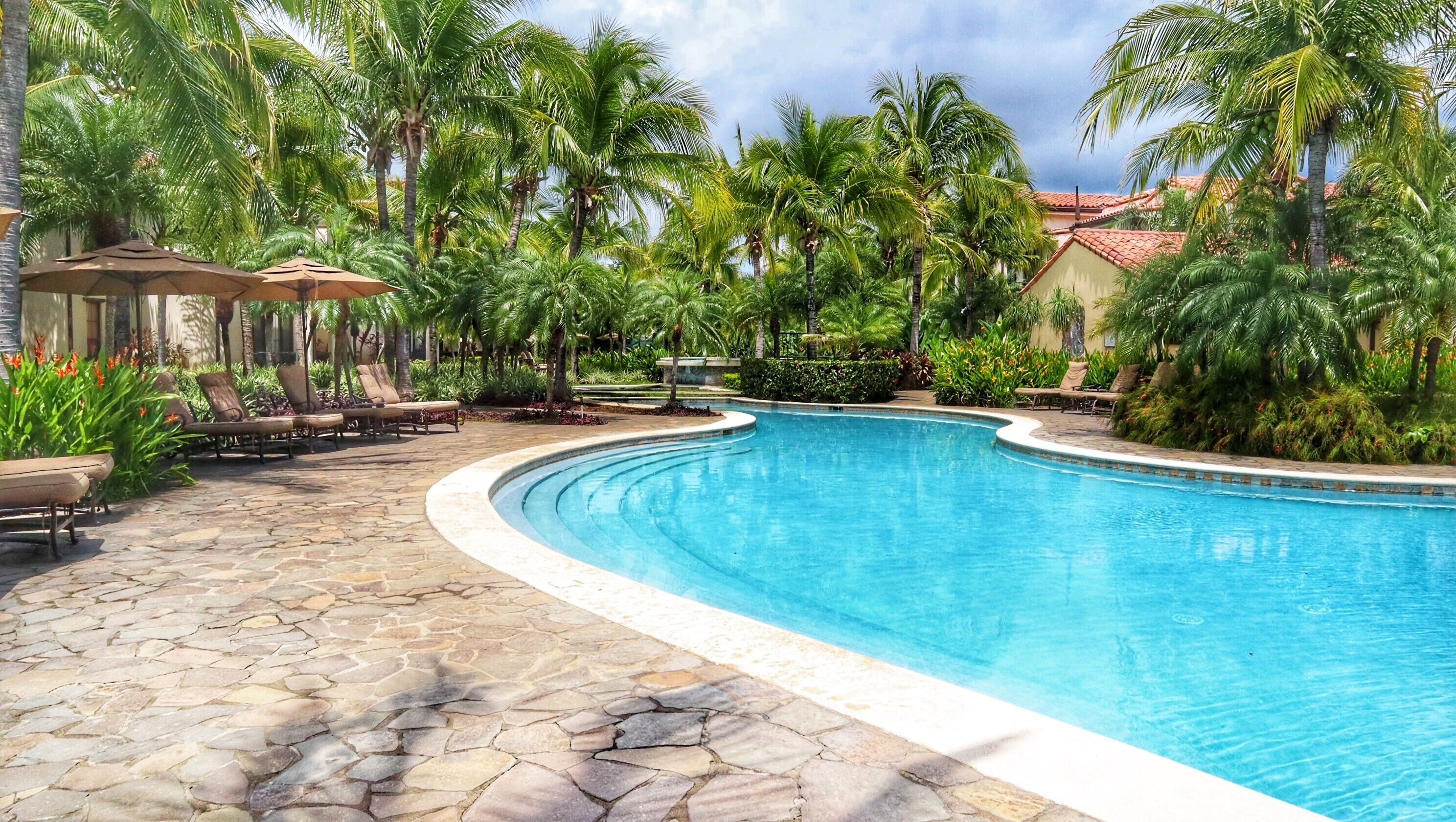 Una piscina con sillas de descanso y palmeras.