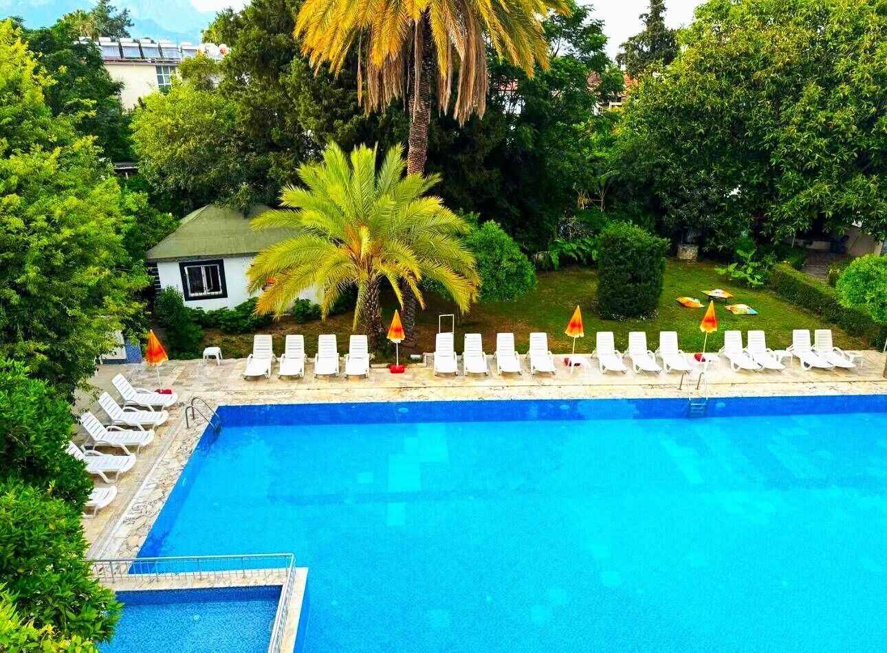 A rectangular swimming pool with white lounge chairs and umbrellas, surrounded by lush greenery and a palm tree.