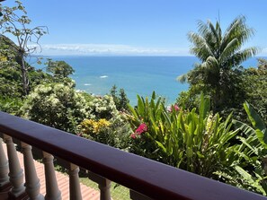 Property grounds - Mountainside Studio with Gorgeous Ocean Views (Dominical)