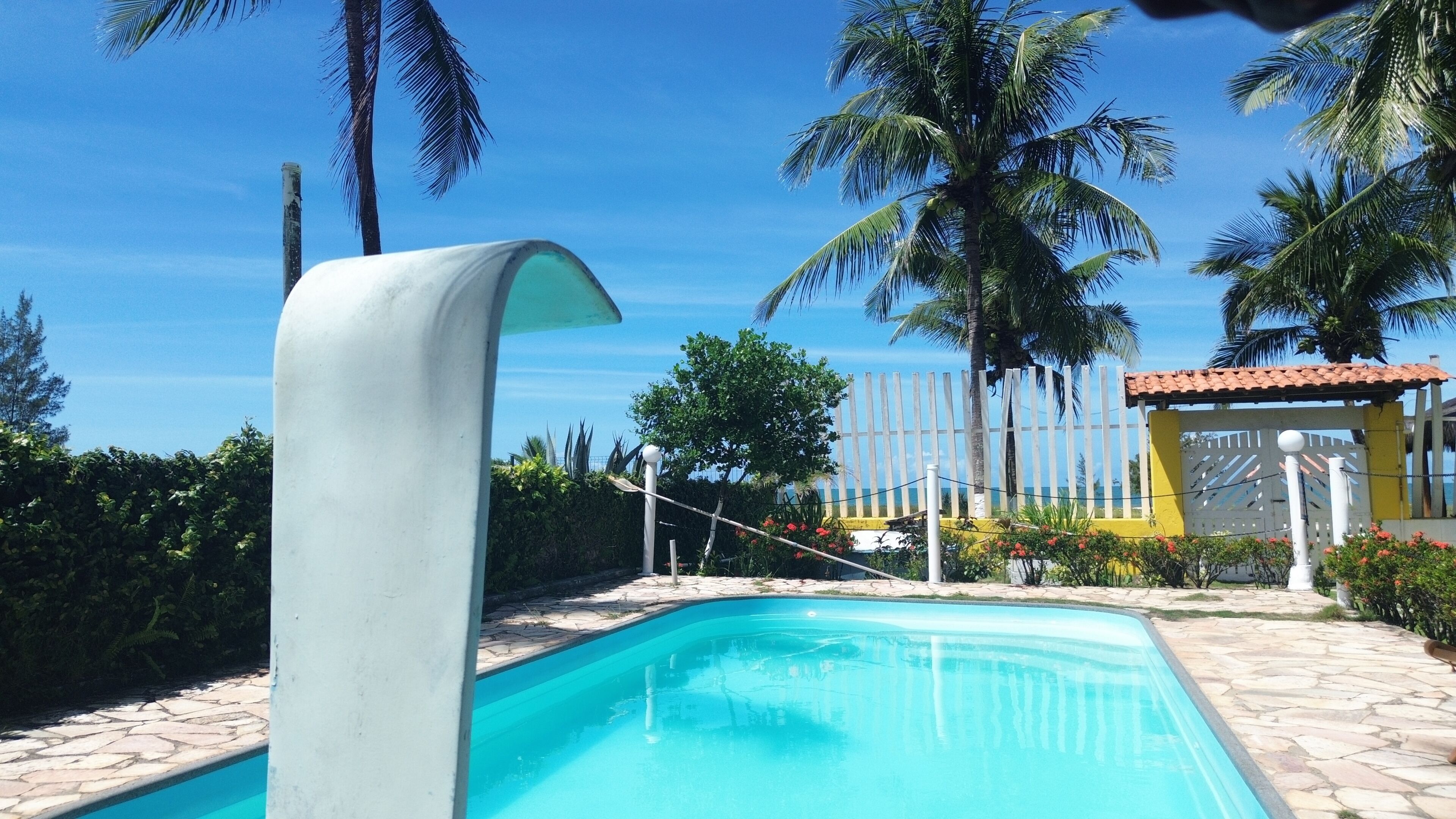 Outdoor pool, open 9:00 AM to 7:00 PM, pool umbrellas, pool loungers