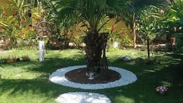 Basic Triple Room | Property grounds