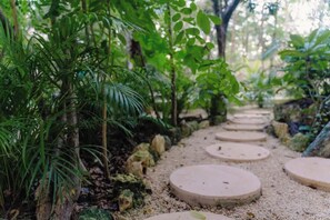 Property grounds - Private 6BR Jungle Compound w/ Rooftop Pool (Tulum)