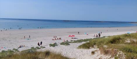 A beach with people sunbathing and swimming.