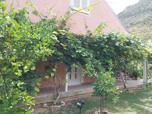 Ein Haus mit Garten, einer von Kletterpflanzen bewachsenen Pergola, einem kleinen Baum und einem Vogelbad.