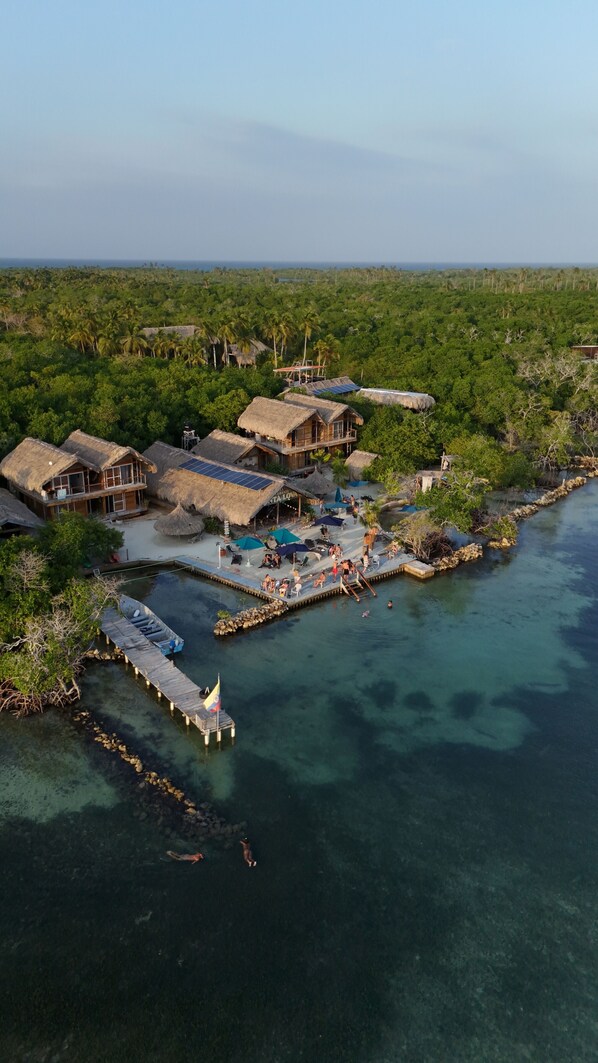 Aerial view