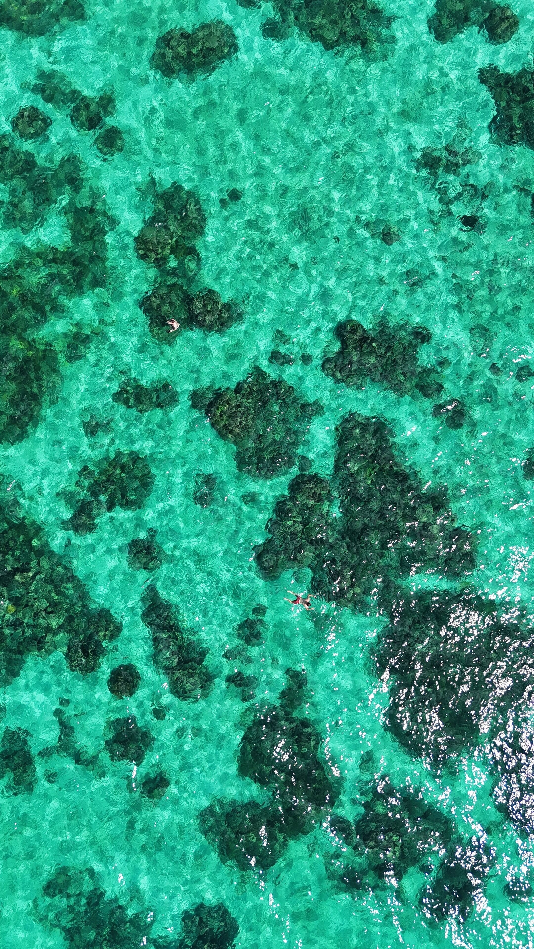 A clear view of a turquoise sea with visible coral formations.
