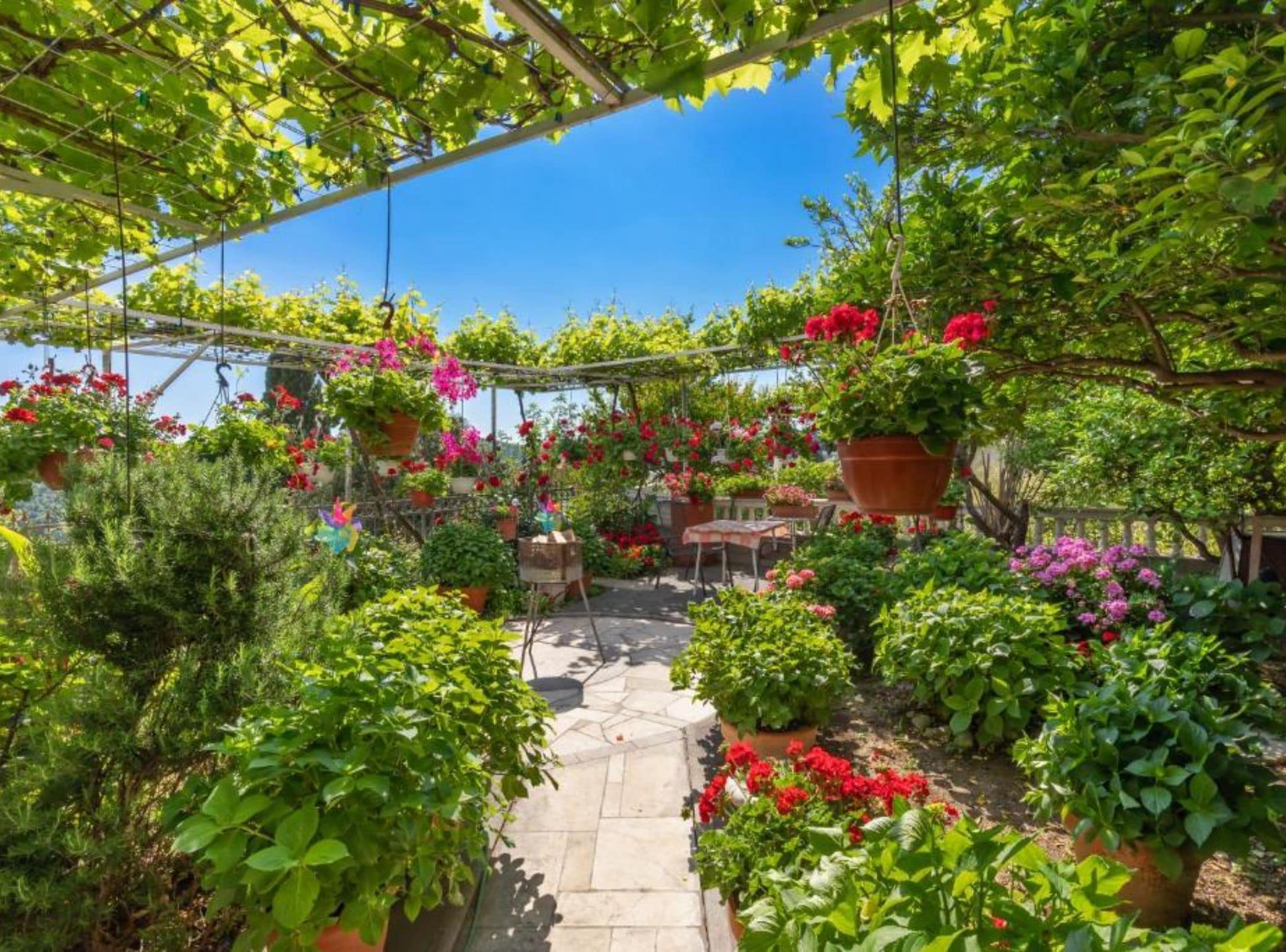 Garden