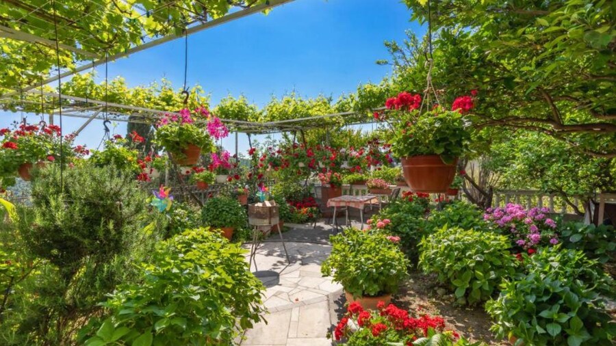 Apartments Galić Adriatic Escape