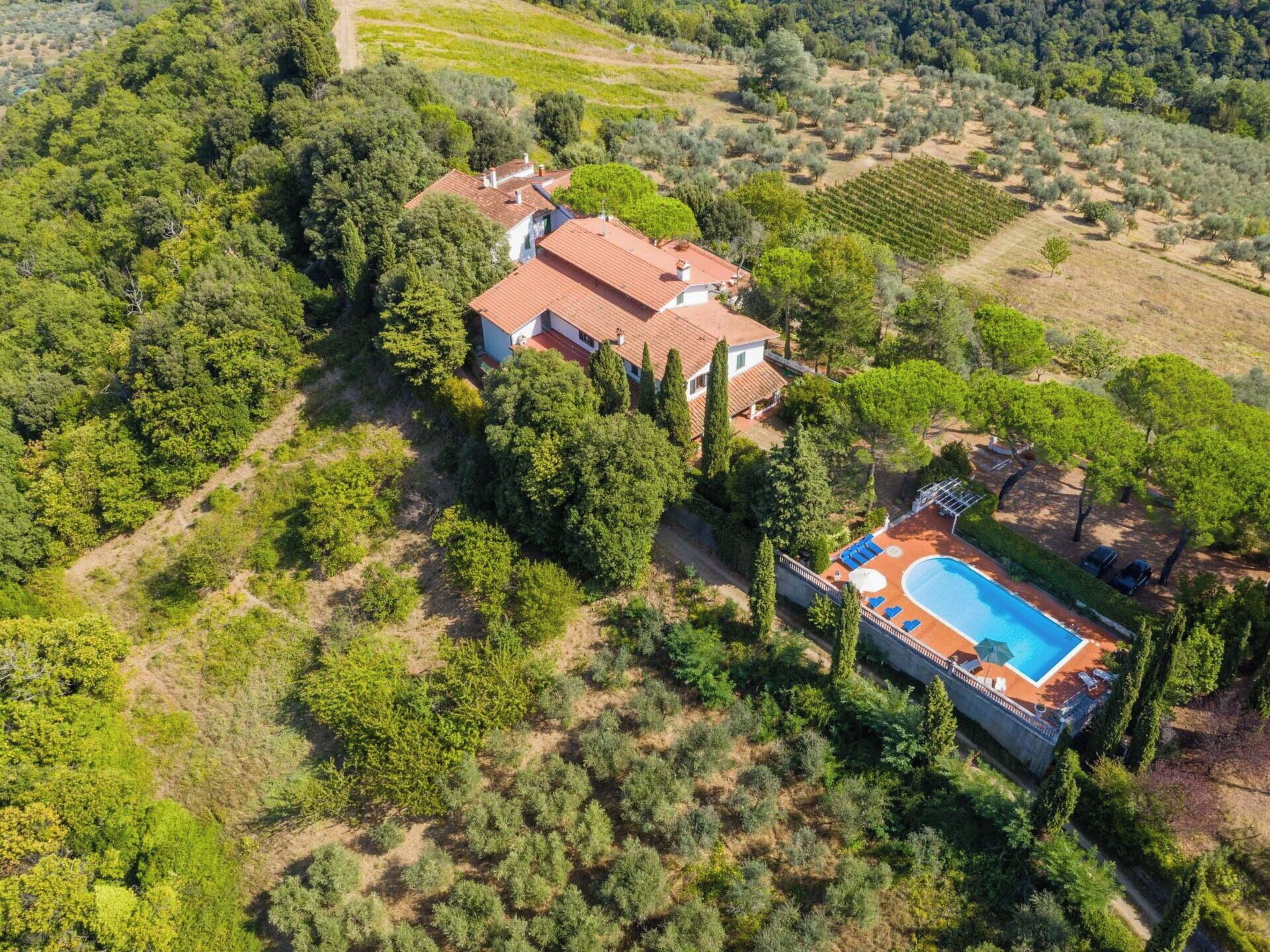 An aerial view of a property with a swimming pool, surrounded by dense greenery and olive groves.