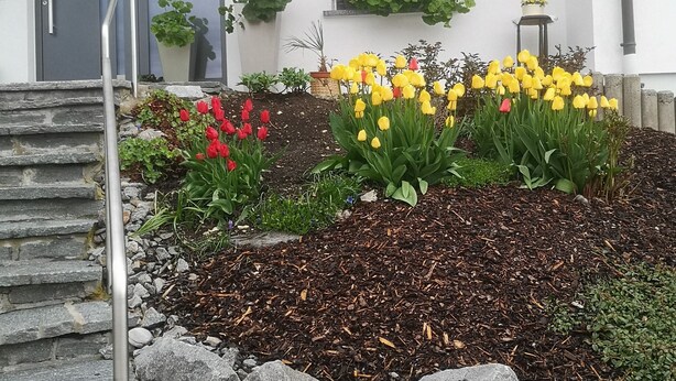 Ein Gebäude mit einer Steintreppe, einem Blumenbeet mit roten und gelben Tulpen und einer grauen Tür.