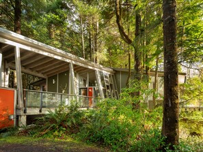 Property grounds - Modern Forest Retreat on 2 Acres: Near Cape Meares Beach & Steam Shower (Tillamook)
