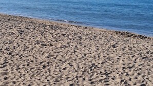 A beach with a cruise ship in the distance. - Spacious, air-conditioned apartment in a lush, green setting, ideal for families. (Cannes)