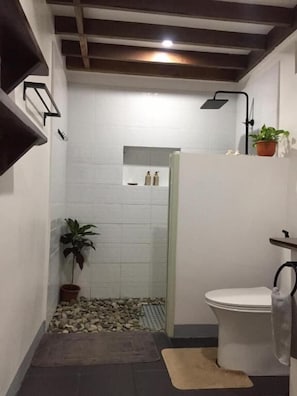 A small bathroom with a shower, toilet, and a potted plant.