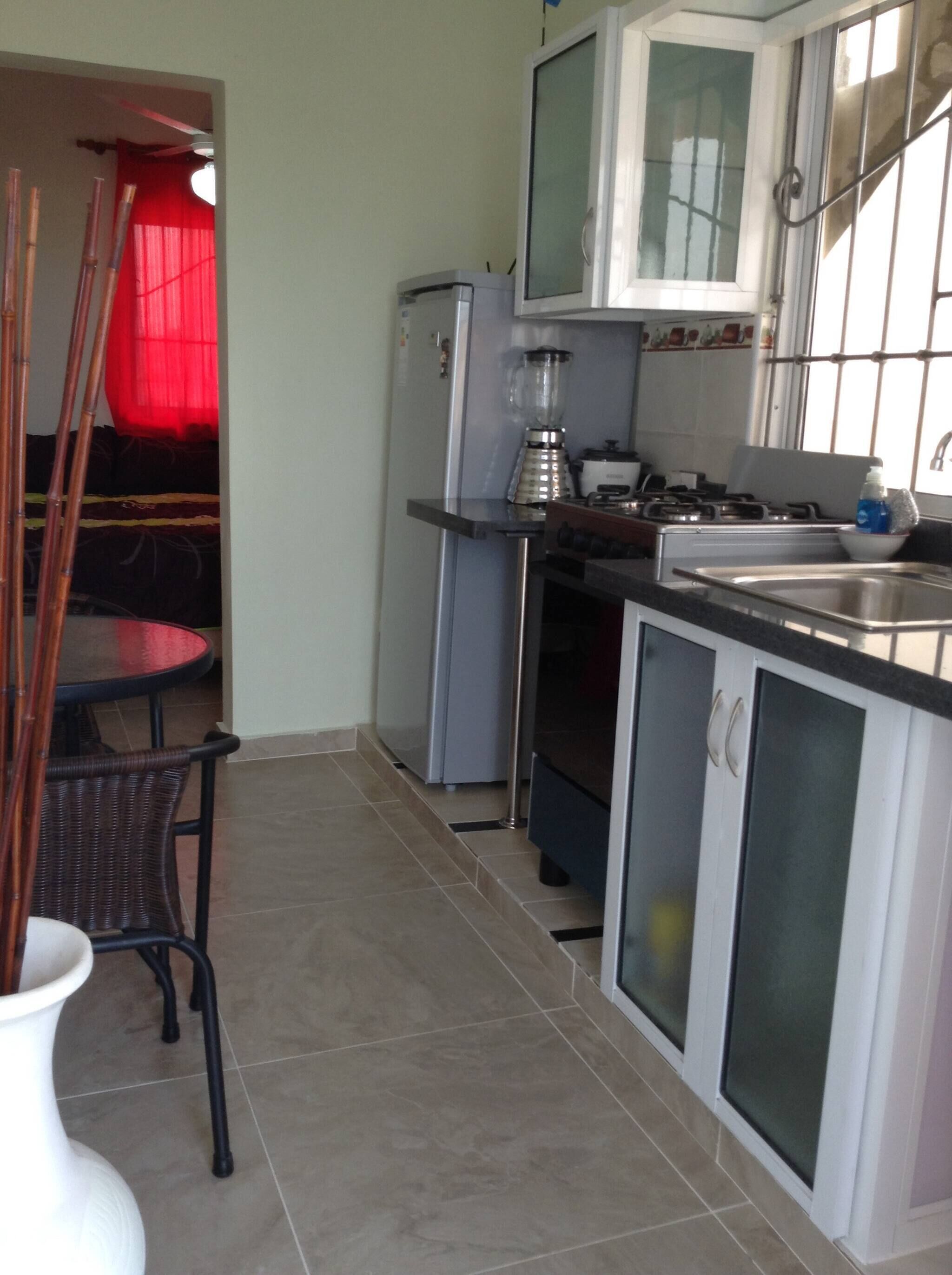A compact kitchen with a refrigerator, stove, and a blender on the counter.