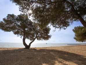 A beach with a large tree providing shade. - Les Mas d'Azur by Interhome (La Londe Les Maures)