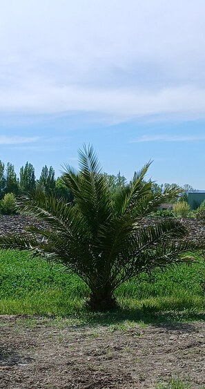 Property grounds - Les Egadillias Campagne & Quiétude (Marsanne)