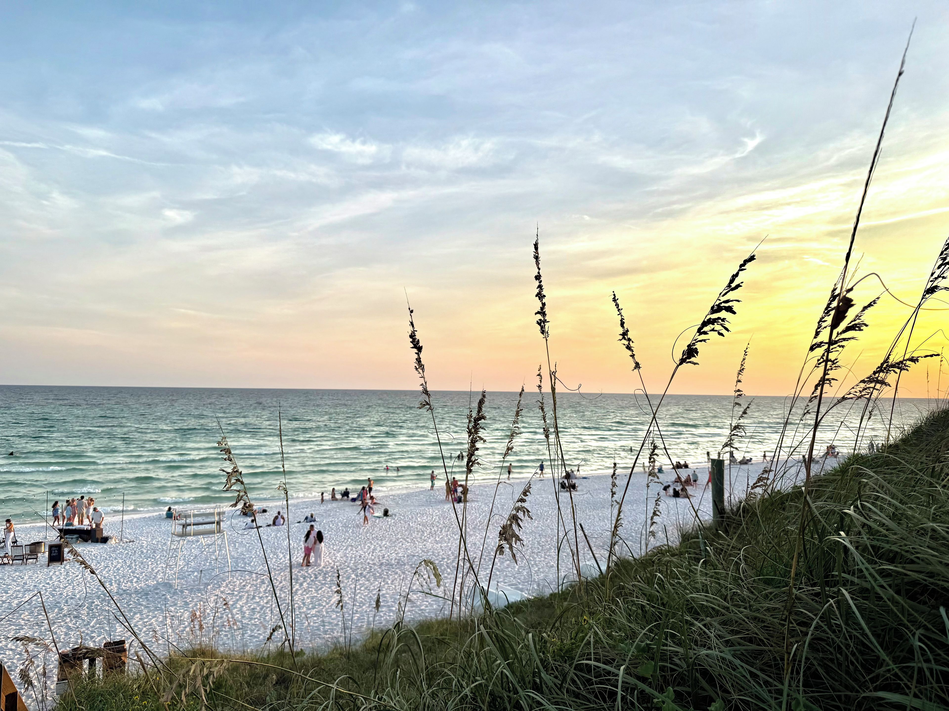 A beach with people, grass, and the sea.
