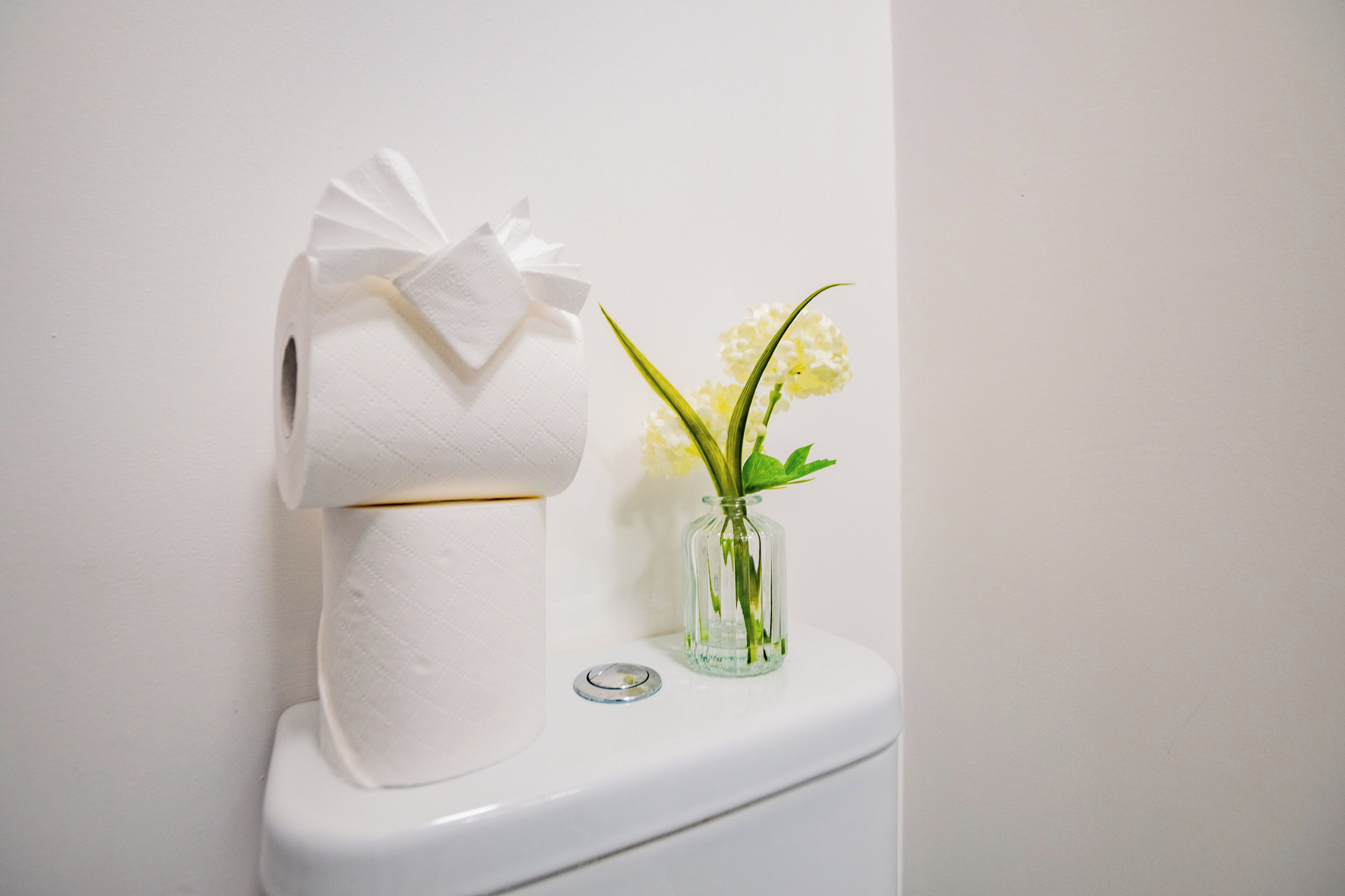 Un inodoro con un rollo de papel higiénico y un pequeño florero con flores.