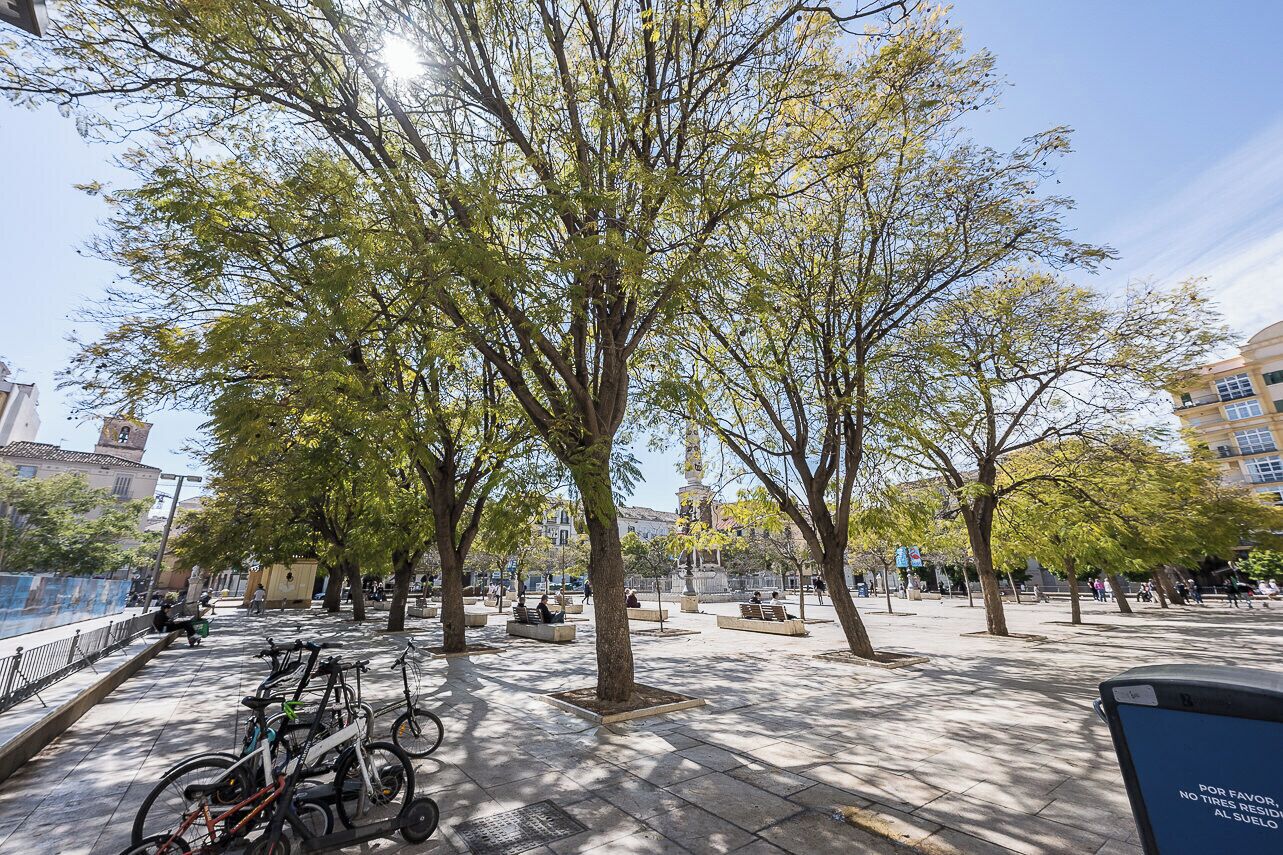 A public square with trees, benches, and bicycles.