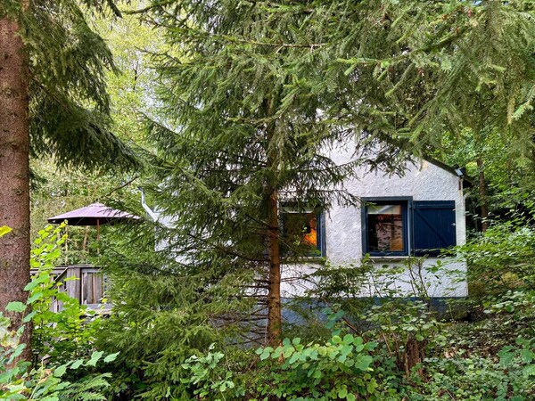 Cozy Durbuy Chalet With Fireplace - Rendeux