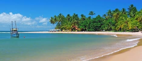 Playa