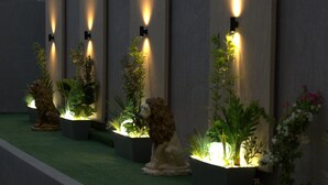 Un couloir agrémenté de luminaires fixés au mur, de plantes en pot et d’une moquette verte.