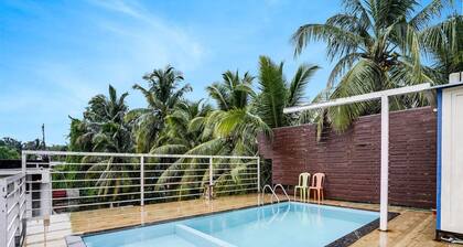 Super Collection O Morjim