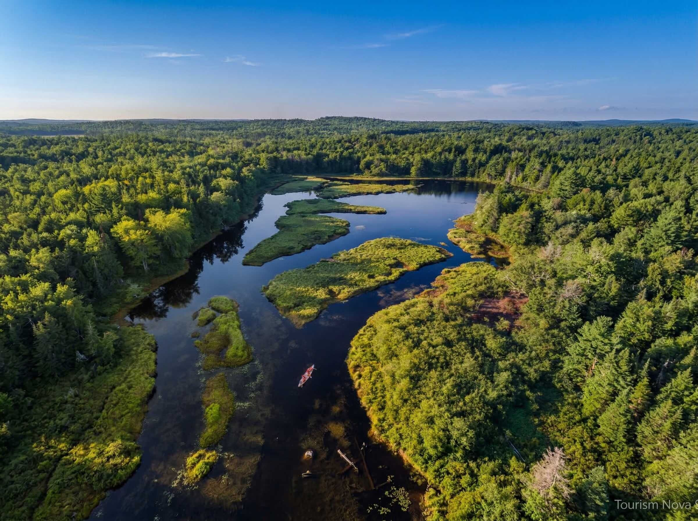 A river meandering through a dense forest with a clear sky above.