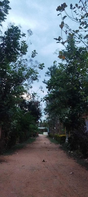 Property entrance - Green Island Nature Stay (Shrirangapattana)