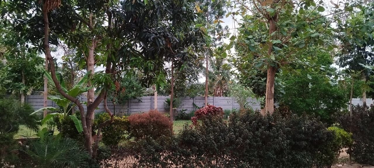 Jardim