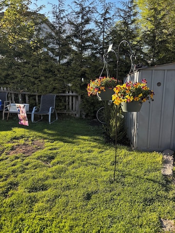 Property grounds. Cozy 1-bedroom bed & breakfast in charming Bristol with AC