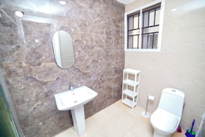 A bathroom with a sink, mirror, toilet, and shelves.